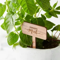 Tinkershop Tutorial: Laser Cut Garden Markers