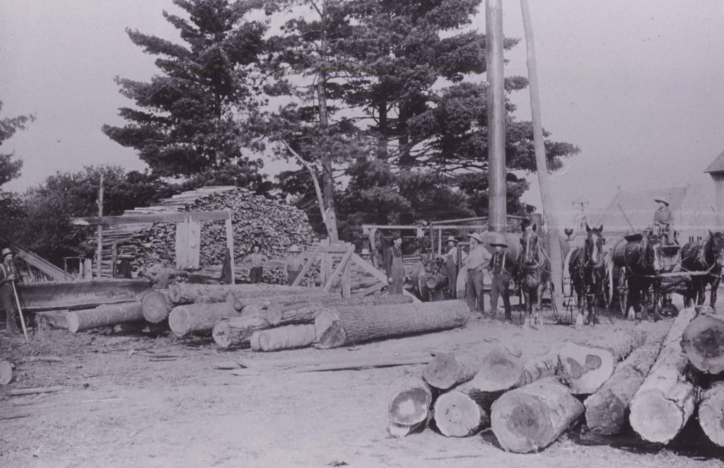 Black and white photo of a sawmill and workers with large logs in foreground and horses and workers in background.